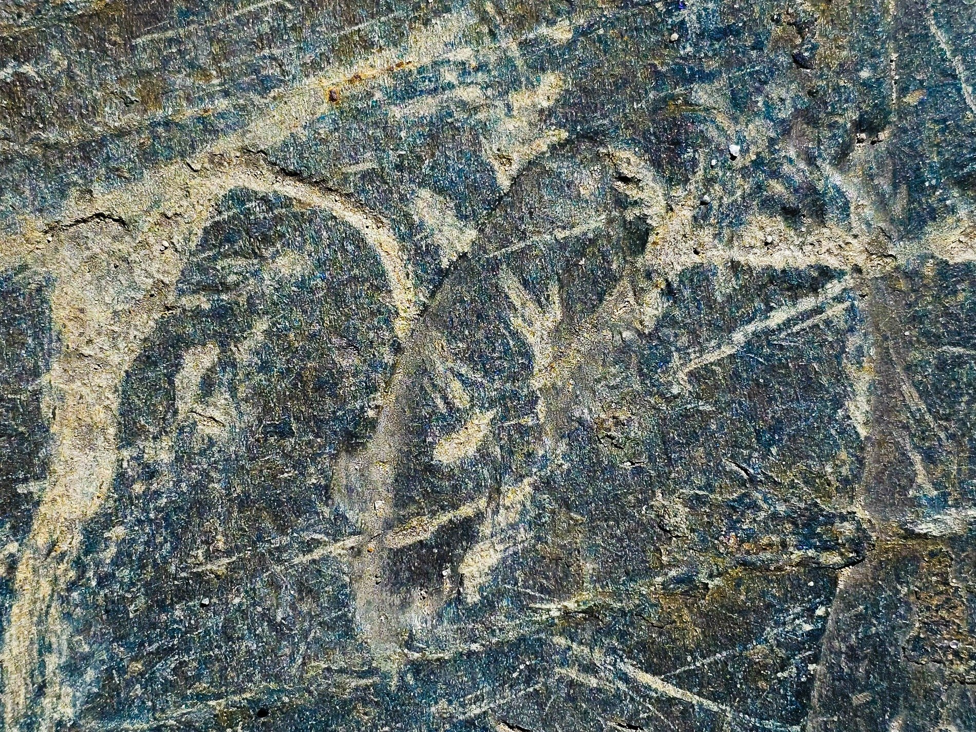 Dark stone swirls with age, pale veins trace an ancient path, grain carved by time's hand