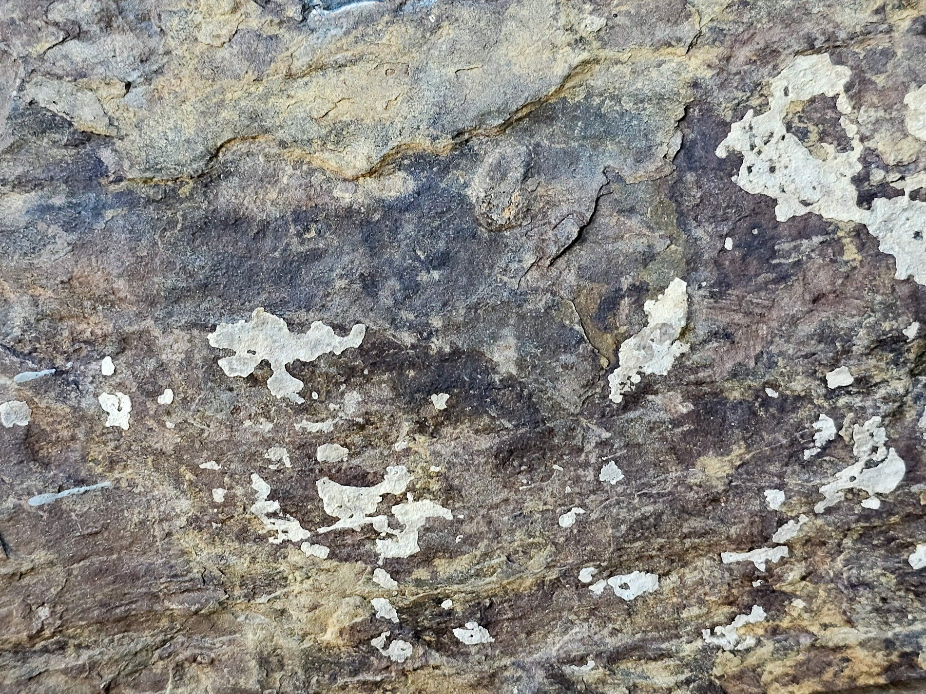 Earthy layers shift, pale spots dot the rugged face, ancient stone endures