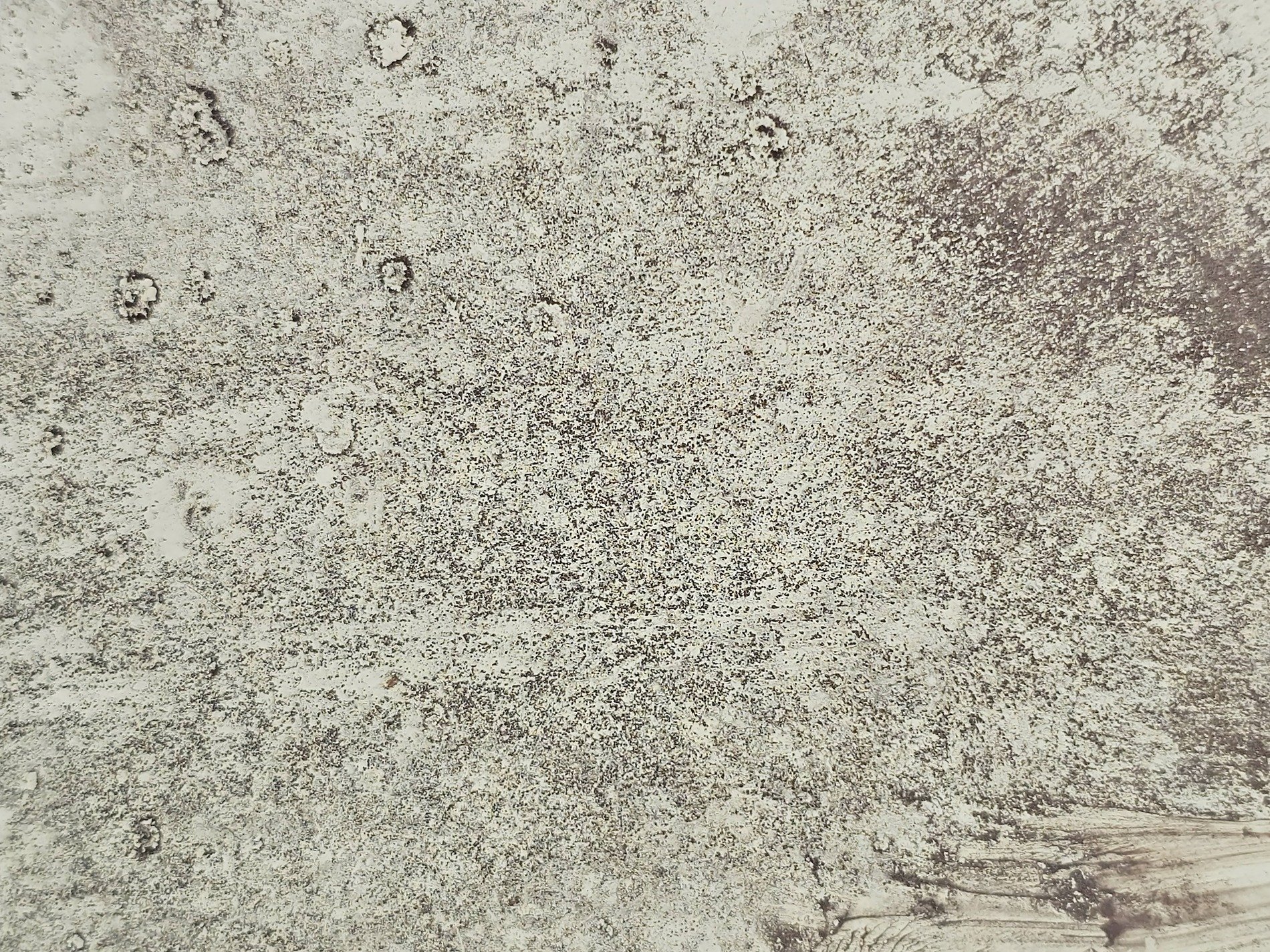 Faded gray surface, dark specks pattern the rough wall, time leaves its mark here