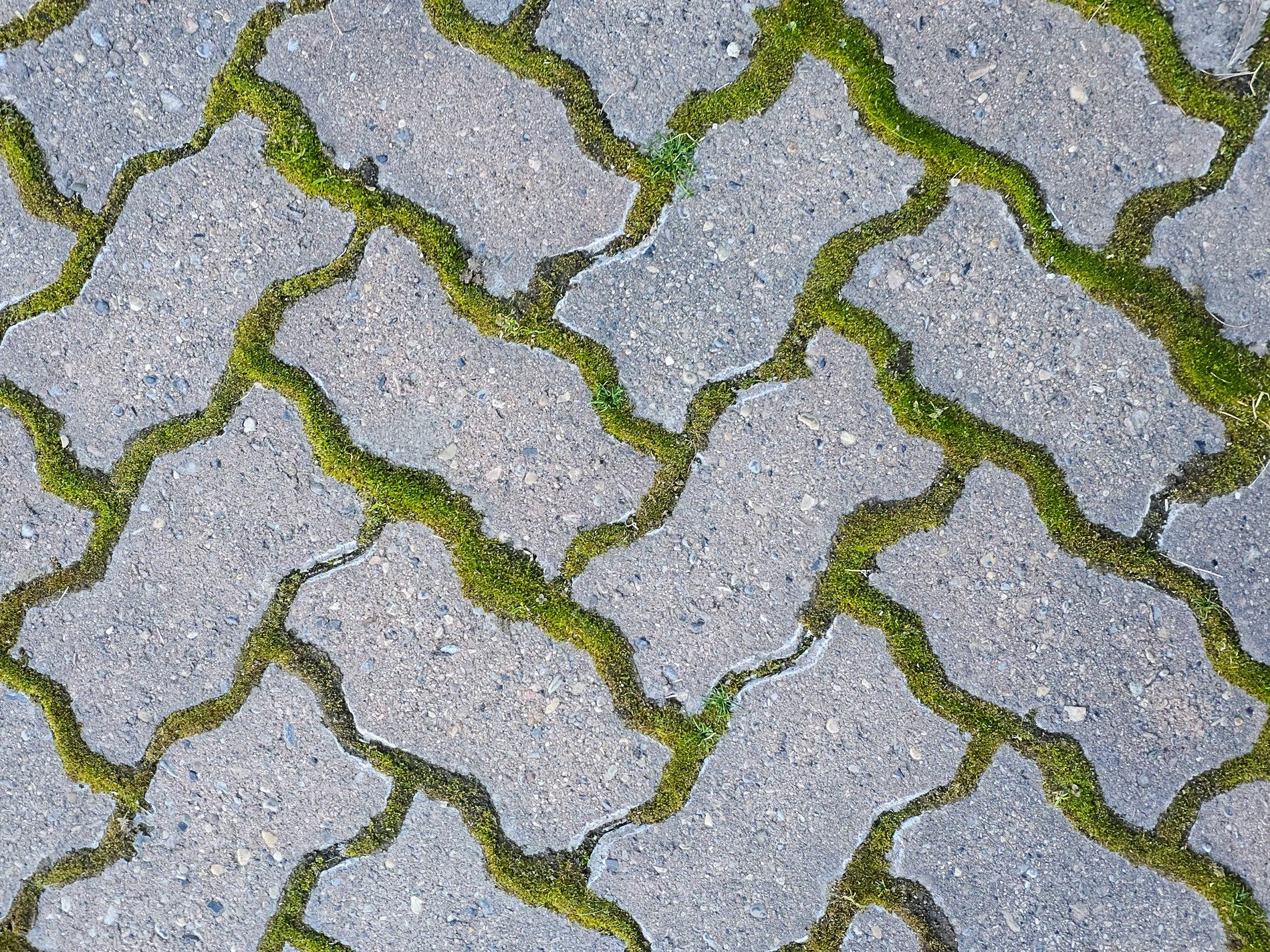 Gray stone meets the earth, velvet moss lines every crack, life claims every gap