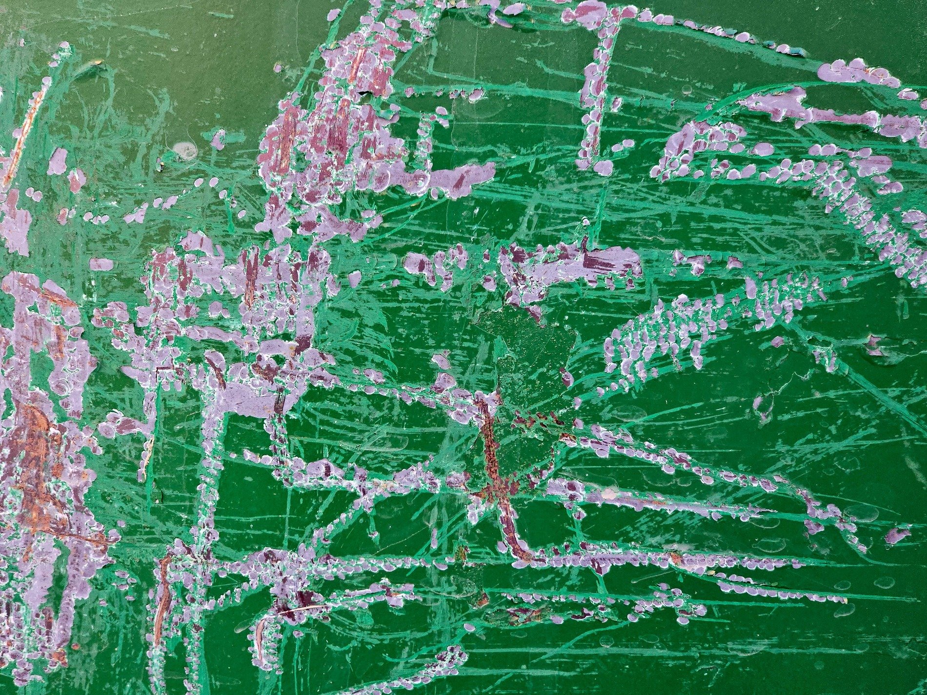 Green paint scarred and torn, lilac flakes peel from the wall, rust blooms in the cuts