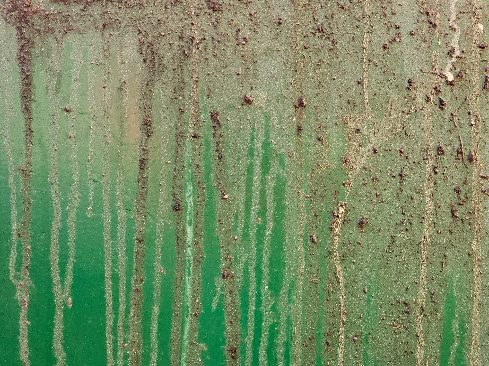 Green paint wears the grime, rain streaks down the metal wall, earth claims the surface