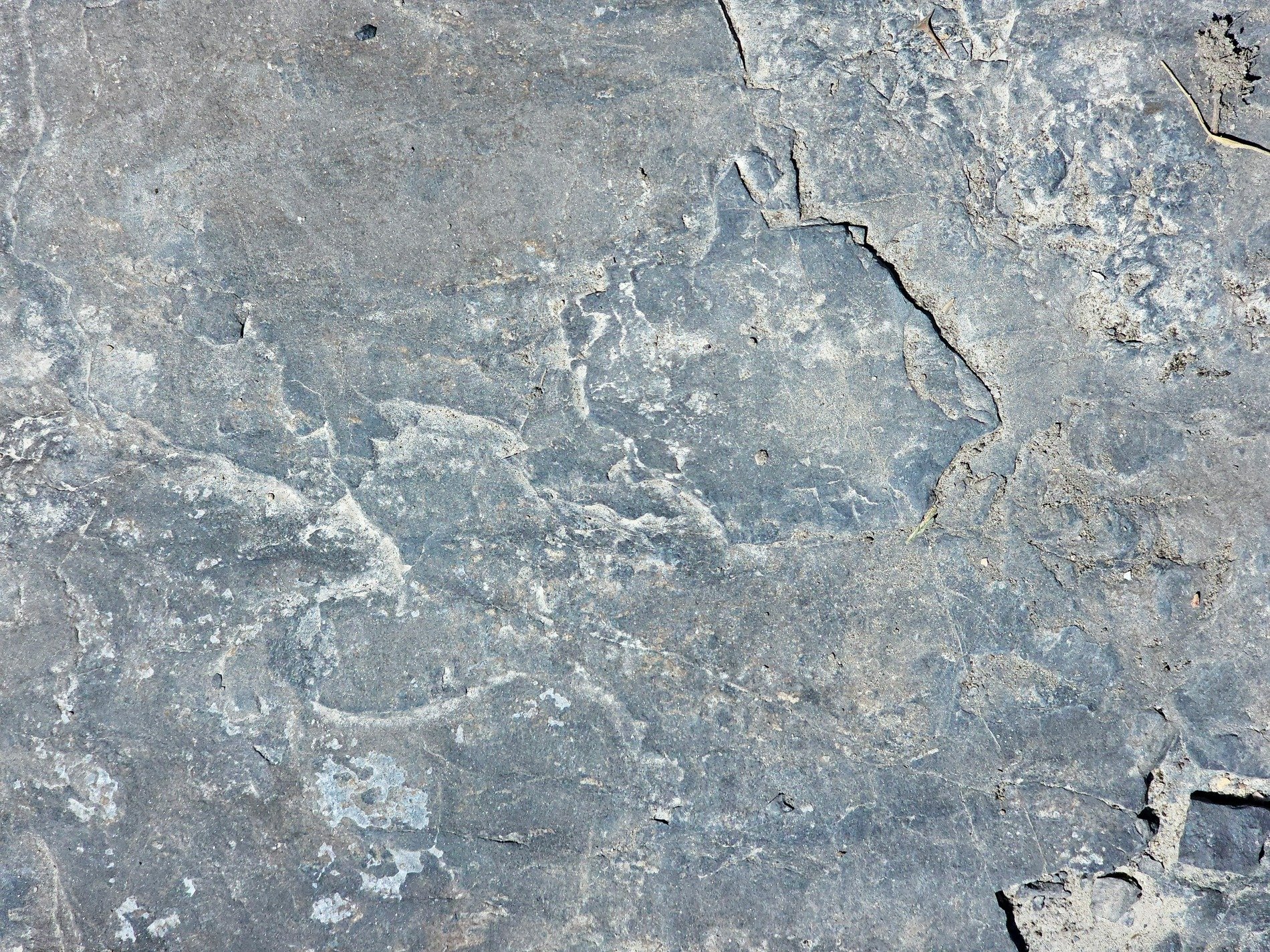 Layers peel and flake, grey stone shows many winters, time marks the surface