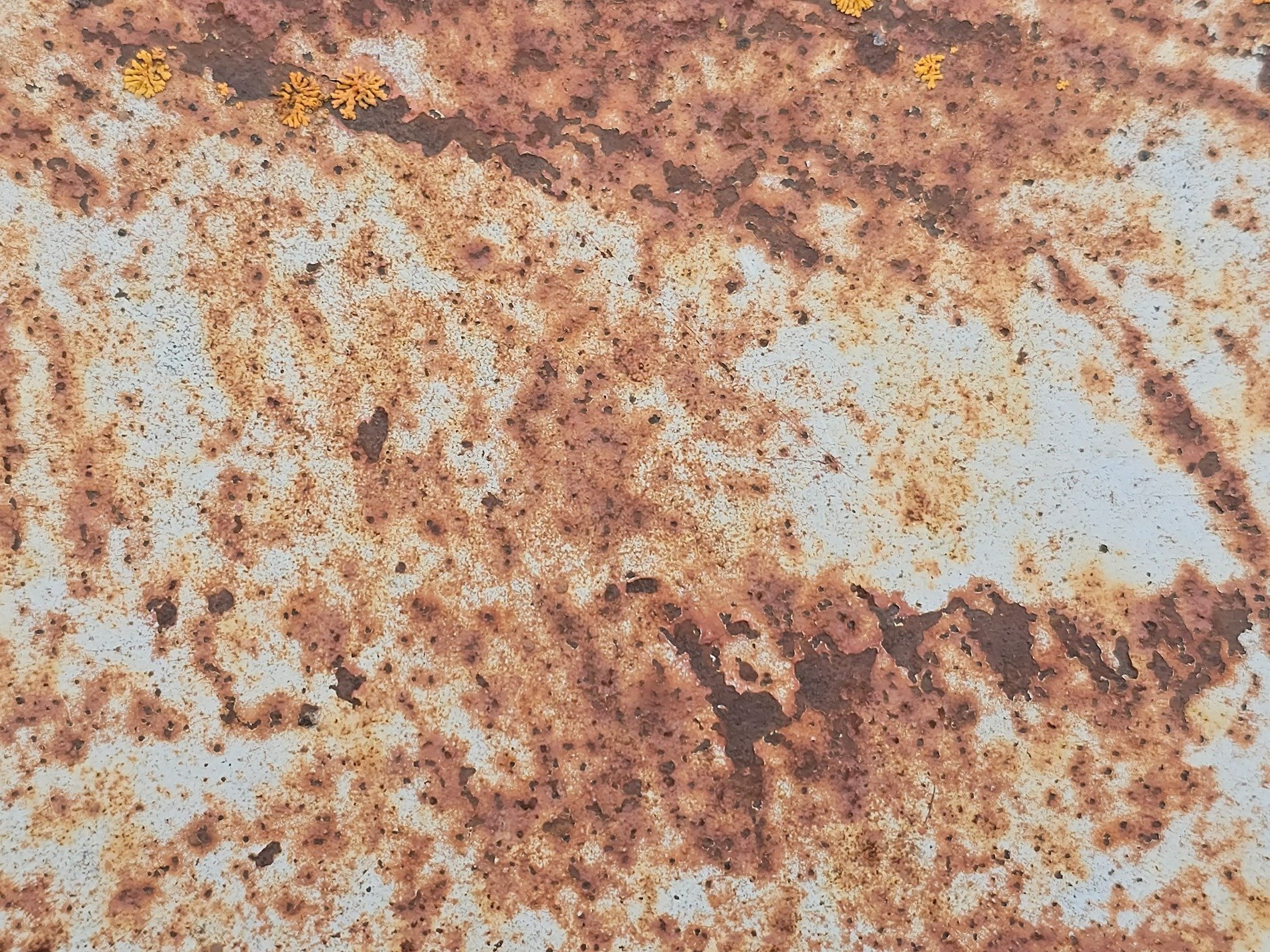 Orange rust blooms bright, white paint flakes from ancient steel, lichen finds a home