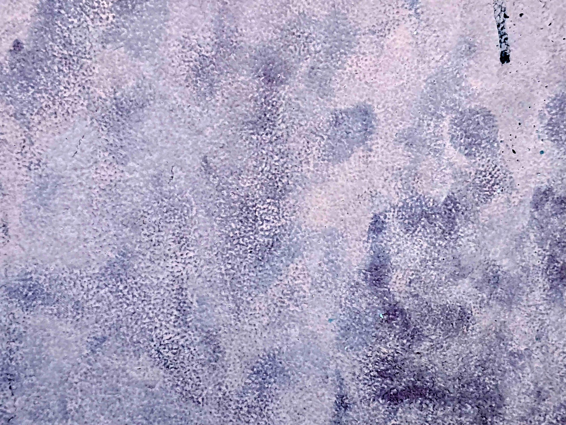 Purple shadows bloom, stains across the concrete floor, mottled stone remains