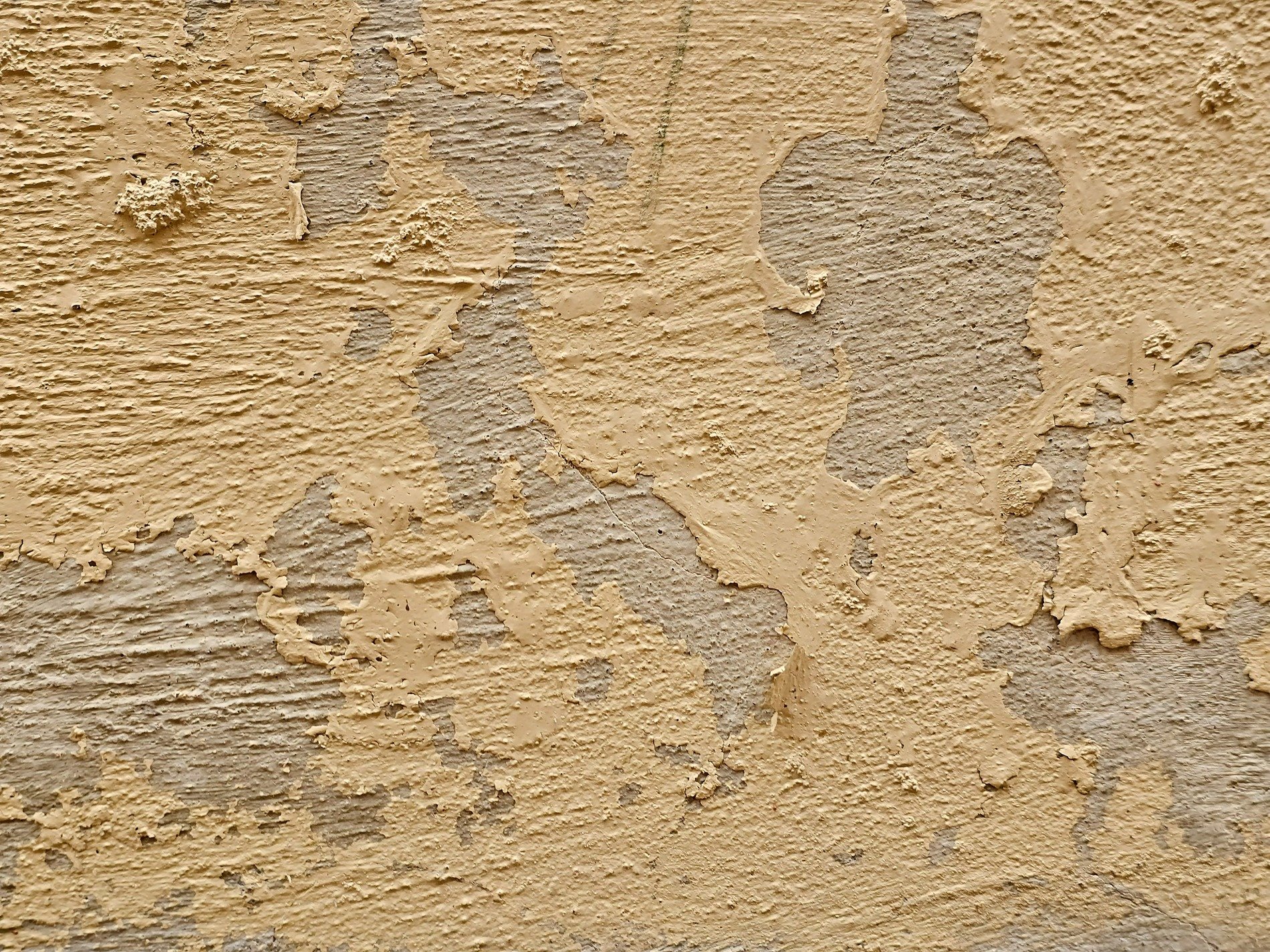 Tan layers crumble, rough concrete breaks through the skin, age claims the surface
