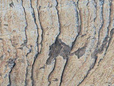 Ancient stone splits deep, jagged lines trace through the earth, layers frozen still