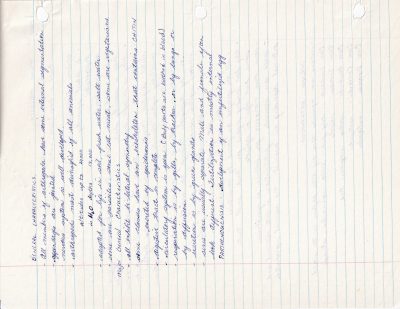 Blue ink on the page, cursive notes on science life, paper holds the past