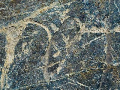 Dark stone swirls with age, pale veins trace an ancient path, grain carved by time's hand