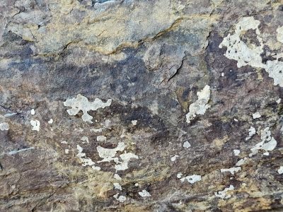Earthy layers shift, pale spots dot the rugged face, ancient stone endures