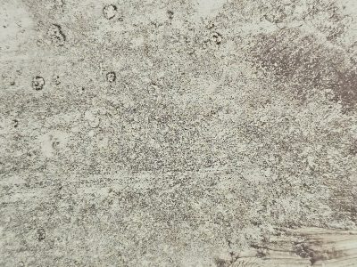 Faded gray surface, dark specks pattern the rough wall, time leaves its mark here
