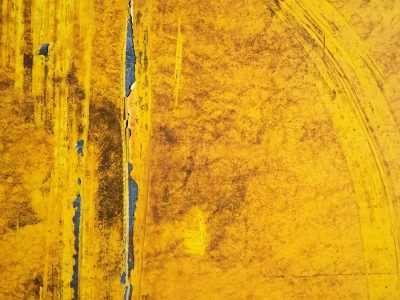 Gold skin flakes away, iron bone shows in the light, tracks of time remain