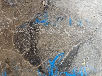 Gray slab shows its age, bright blue paint stains rough surface, thin cracks map the ground