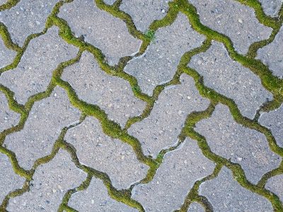 Gray stone meets the earth, velvet moss lines every crack, life claims every gap