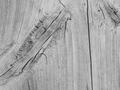 Gray wood shows its age, deep cracks carve a path through grain, knots hold silent time