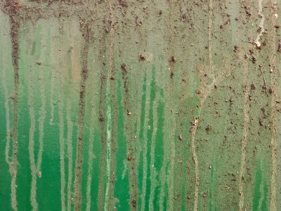 Green paint wears the grime, rain streaks down the metal wall, earth claims the surface