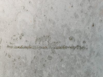 Grey concrete skin, horizontal scar etched deep, stains of time remain