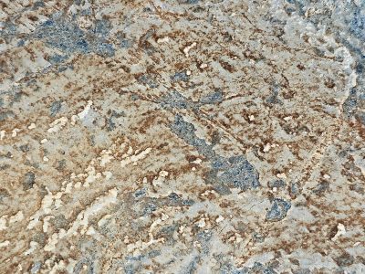 Grey stone wears the age, brown veins trace an ancient map, earth reveals its depth