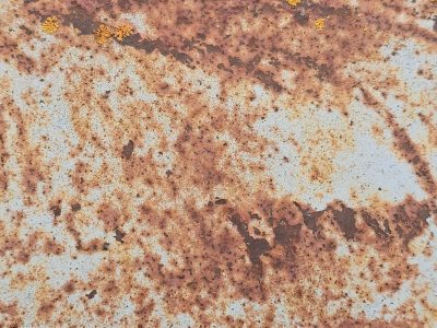 Orange rust blooms bright, white paint flakes from ancient steel, lichen finds a home