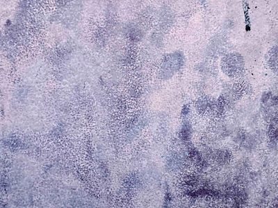 Purple shadows bloom, stains across the concrete floor, mottled stone remains