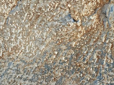 Rough stone wears its age, white flecks dance on ancient grain, earth reveals its heart