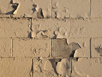 Tan skin curls away, gray block hides beneath the shell, time flakes the surface