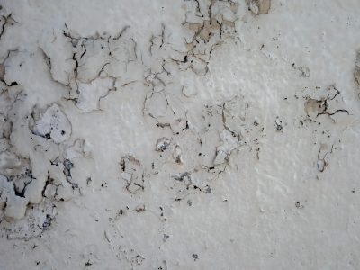 White paint curls away, cracks spider across the wall, layers start to fall