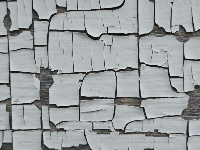 White paint curls away, wood grain peeks through jagged cracks, time sheds its old skin
