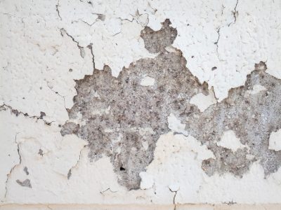White paint flakes away, grey stone waits beneath the skin, time breaks the surface
