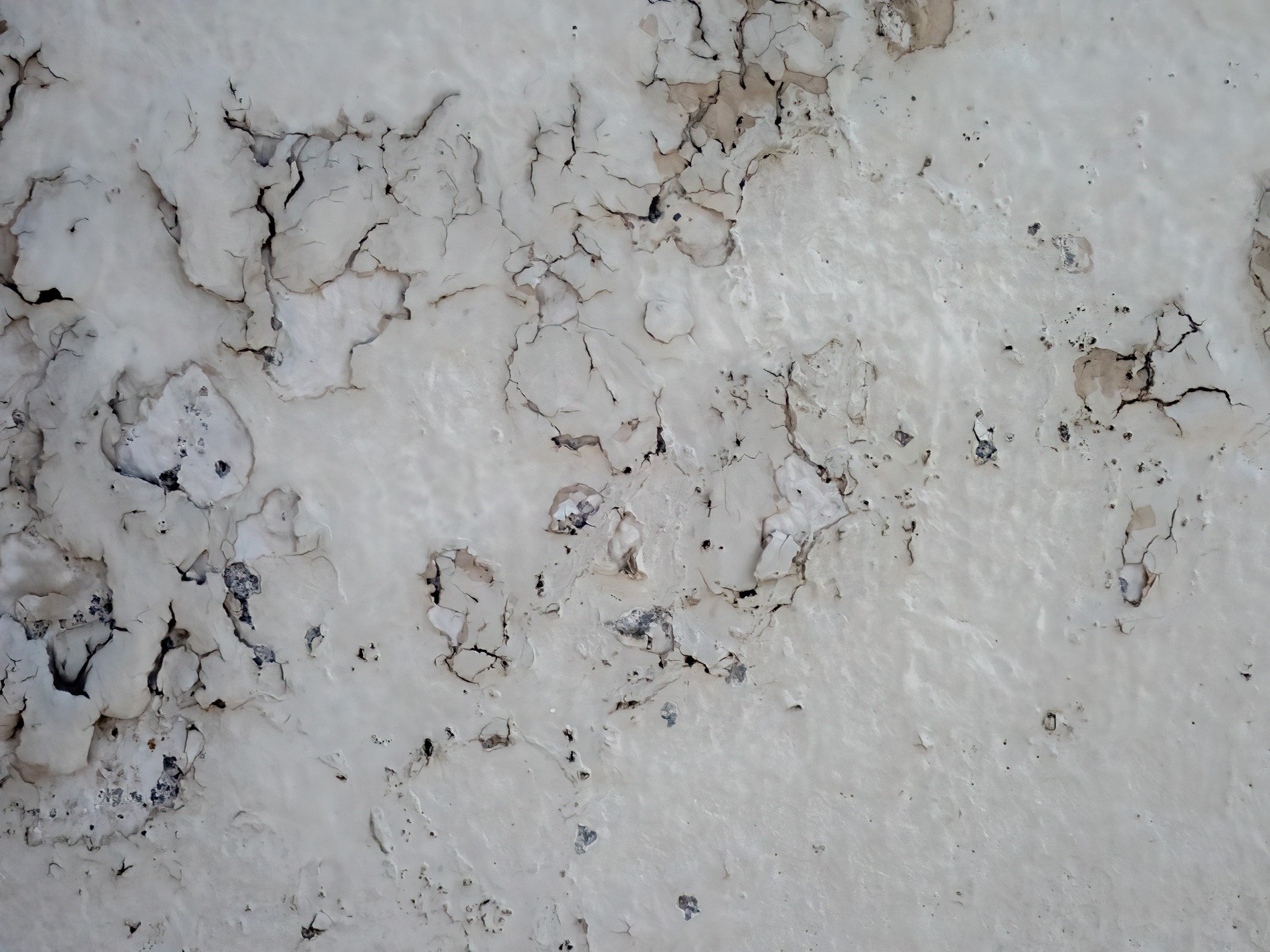 White paint curls away, cracks spider across the wall, layers start to fall