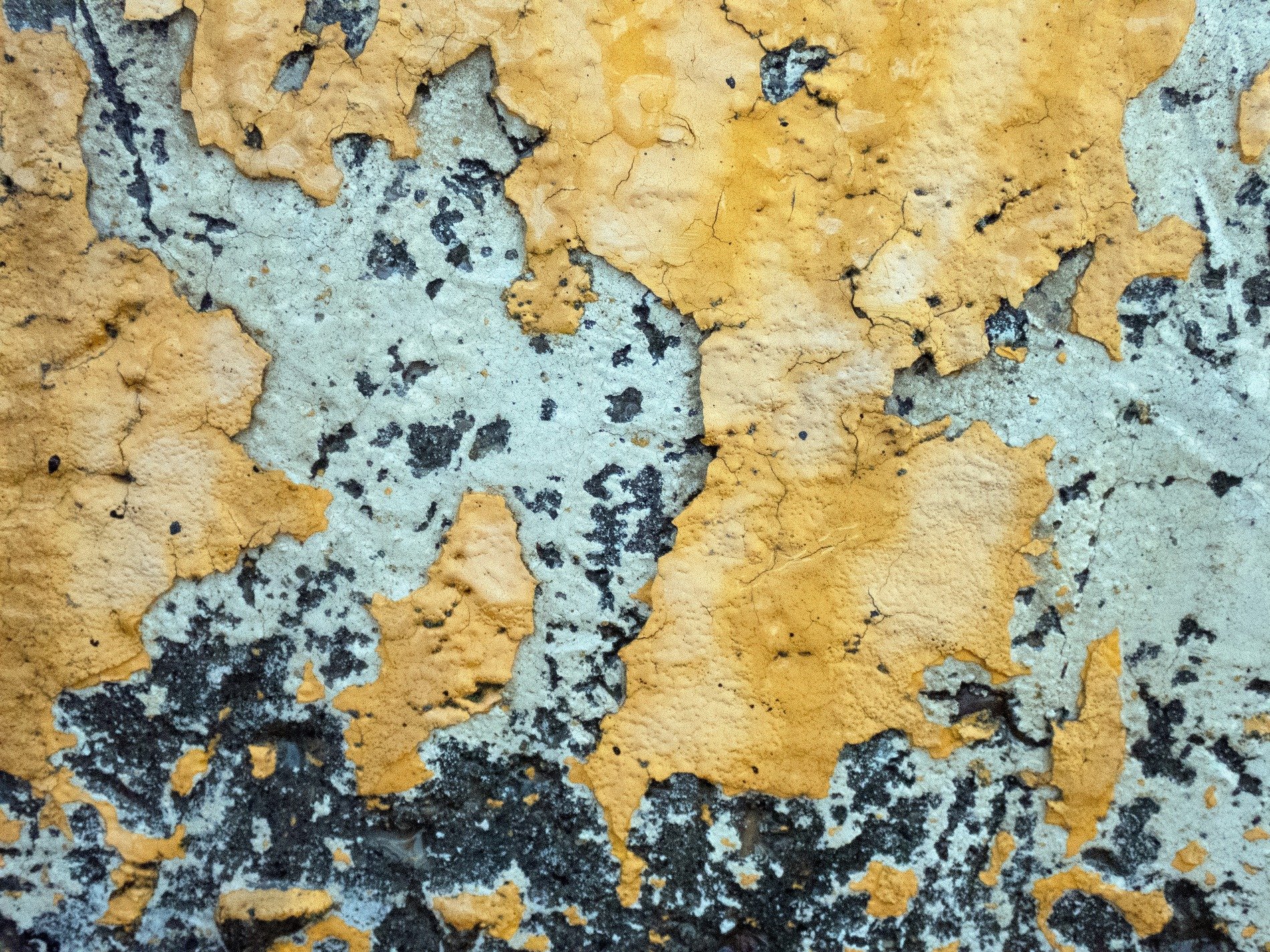 Yellow paint curls back, grey concrete waits underneath, time strips the layers